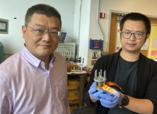 Revolutionary Low-Cost Cathode Could Transform Electric Vehicles and Energy Storage